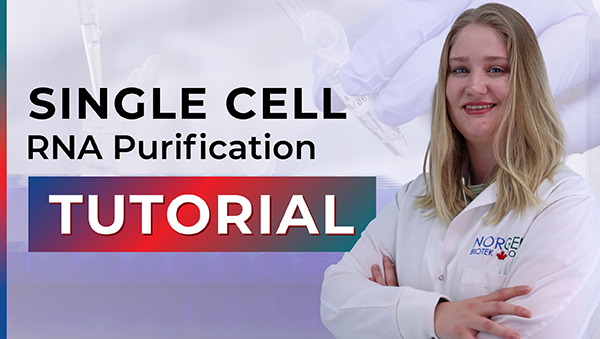 Single Cell RNA Purification Tutorial 